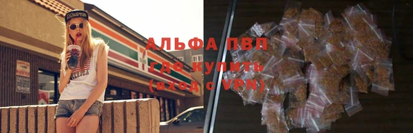шишки Новодвинск