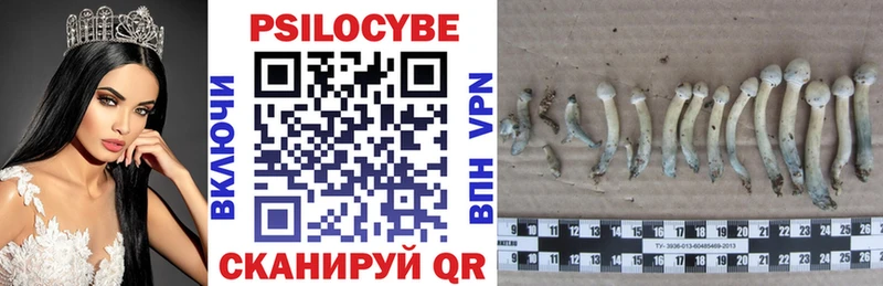 Псилоцибиновые грибы мухоморы  где продают   Ивангород 